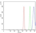 Flow cytometry testing of human HepG2 cells with ICAM1 antibody at 1ug/million cells (blocked with goat sera); Red=cells alone, Green=isotype control, Blue= ICAM1 antibody.