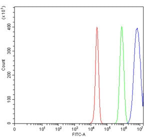 Flow cytometry testing of human HepG2 cells with ICAM1 antibody at 1ug/million cells (blocked with goat sera); Red=cells alone, Green=isotype control, Blue= ICAM1 antibody.