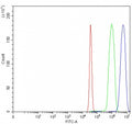 Flow cytometry testing of fixed and permeabilized human SiHa cells with ITCH antibody at 1ug/million cells (blocked with goat sera); Red=cells alone, Green=isotype control, Blue= ITCH antibody.