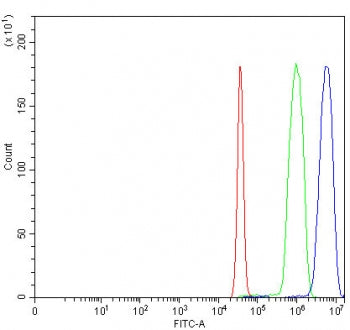 Flow cytometry testing of fixed and permeabilized human SiHa cells with ITCH antibody at 1ug/million cells (blocked with goat sera); Red=cells alone, Green=isotype control, Blue= ITCH antibody.