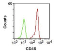 FACS staining of human PBMC using CD46 antibody (clone 122.2).