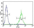 SOX1 antibody flow cytometric analysis of NCI-H460 cells (right histogram) compared to a negative control (left histogram). FITC-conjugated goat-anti-rabbit secondary Ab was used for the analysis.