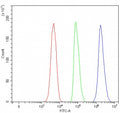 Flow cytometry testing of fixed and permeabilized human SH-SY5Y cells with TSSK4 antibody at 1ug/million cells (blocked with goat sera); Red=cells alone, Green=isotype control, Blue= TSSK4 antibody.