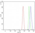 Flow cytometry testing of fixed and permeabilized human U-87 MG cells with PHTF1 antibody at 1ug/million cells (blocked with goat sera); Red=cells alone, Green=isotype control, Blue= PHTF1 antibody.