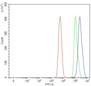 Flow cytometry testing of fixed and permeabilized human U-87 MG cells with PHTF1 antibody at 1ug/million cells (blocked with goat sera); Red=cells alone, Green=isotype control, Blue= PHTF1 antibody.