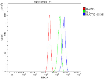 Flow Cytometry analysis of cells using anti-NUDT12 antibody. Overlay histogram showing cells stained with (Blue line). To facilitate intracellular staining, cells were fixed with 4% paraformaldehyde and permeabilized with permeabilization buffer. The cells were blocked with 10% normal goat serum. And then incubated with rabbit anti-NUDT12 antibody (1 ug/million cells) for 30 min at 20oC. DyLight 488 conjugated goat anti-rabbit IgG (5-10 ug/million cells) was used as secondary antibody for 30 min at 20oC.