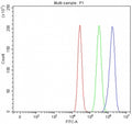 Flow cytometry testing of fixed and permeabilized human MCF7 cells with PCDHA6 antibody at 1ug/million cells (blocked with goat sera); Red=cells alone, Green=isotype control, Blue= PCDHA6 antibody.