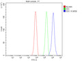 Flow Cytometry analysis of HepG2 cells using anti-DDC antibody. Overlay histogram showing HepG2 cells stained with (Blue line). To facilitate intracellular staining, cells were fixed with 4% paraformaldehyde and permeabilized with permeabilization buffer. The cells were blocked with 10% normal goat serum. And then incubated with rabbit anti-DDC antibody (1 ug/million cells) for 30 min at 20oC.