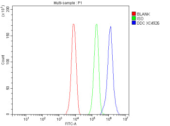 Flow Cytometry analysis of HepG2 cells using anti-DDC antibody. Overlay histogram showing HepG2 cells stained with (Blue line). To facilitate intracellular staining, cells were fixed with 4% paraformaldehyde and permeabilized with permeabilization buffer. The cells were blocked with 10% normal goat serum. And then incubated with rabbit anti-DDC antibody (1 ug/million cells) for 30 min at 20oC.