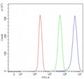 Flow cytometry testing of human HepG2 cells with RHBDF2 antibody at 1ug/million cells (blocked with goat sera); Red=cells alone, Green=isotype control, Blue= RHBDF2 antibody.