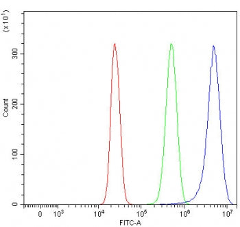 Flow cytometry testing of human HepG2 cells with RHBDF2 antibody at 1ug/million cells (blocked with goat sera); Red=cells alone, Green=isotype control, Blue= RHBDF2 antibody.