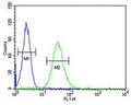 CD80 antibody flow cytometric analysis of HL-60 cells (right histogram) compared to a negative control (left histogram). FITC-conjugated goat-anti-rabbit secondary Ab was used for the analysis.