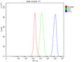 Flow Cytometry analysis of SH-SY5Y cells using anti-RTL1 antibody. Overlay histogram showing SH-SY5Y cells stained with (Blue line). The cells were fixed with 4% paraformaldehyde and blocked with 10% normal goat serum. And then incubated with rabbit anti-RTL1 antibody (1 ug/million cells) for 30 min at 20oC. DyLight 488 conjugated goat anti-rabbit IgG (5-10 ug/million cells) was used as secondary antibody for 30 min at 20oC.