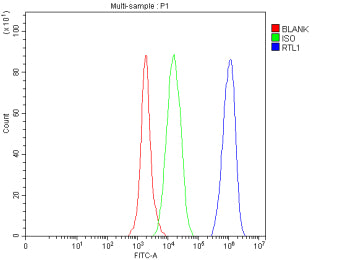 Flow Cytometry analysis of SH-SY5Y cells using anti-RTL1 antibody. Overlay histogram showing SH-SY5Y cells stained with (Blue line). The cells were fixed with 4% paraformaldehyde and blocked with 10% normal goat serum. And then incubated with rabbit anti-RTL1 antibody (1 ug/million cells) for 30 min at 20oC. DyLight 488 conjugated goat anti-rabbit IgG (5-10 ug/million cells) was used as secondary antibody for 30 min at 20oC.