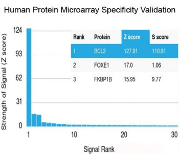 Analysis of HuProt(TM) microarray containing more than 19,000 full-length human proteins using BRCA-1 antibody (clone BRCA1/2973). These results demonstrate the foremost specificity of the BRCA1/2973 mAb. Z- and S- Score: The Z-score represents the strength of a signal that a monoclonal antibody (clone MAb) (in combination with a fluorescently-tagged anti-IgG secondary antibody) produces when binding to a particular protein on the HuProt(TM) array.