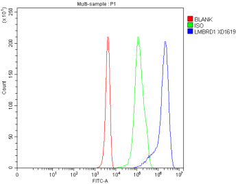 Flow Cytometry analysis of 293T cells using anti-LMBRD1 antibody. Overlay histogram showing 293T cells stained with (Blue line). To facilitate intracellular staining, cells were fixed with 4% paraformaldehyde and permeabilized with permeabilization buffer. The cells were blocked with 10% normal goat serum. And then incubated with rabbit anti-LMBRD1 antibody (1 ug/million cells) for 30 min at 20oC.