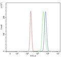 Flow cytometry testing of human HepG2 cells with PDCD4 antibody at 1ug/million cells (blocked with goat sera); Red=cells alone, Green=isotype control, Blue= PDCD4 antibody.