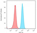 Flow cytometry testing of PFA fixed human HeLa cells with Cytochrome C antibody (clone 6H2.B4); Red=isotype control, Blue= Cytochrome C antibody.