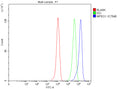Flow Cytometry analysis of THP-1 cells using anti-MPEG1 antibody. Overlay histogram showing THP-1 cells stained with (Blue line). The cells were fixed with 4% paraformaldehyde and blocked with 10% normal goat serum. And then incubated with rabbit anti-MPEG1 antibody (1 ug/million cells) for 30 min at 20oC. DyLight 488 conjugated goat anti-rabbit IgG (5-10 ug/million cells) was used as secondary antibody for 30 min at 20oC.