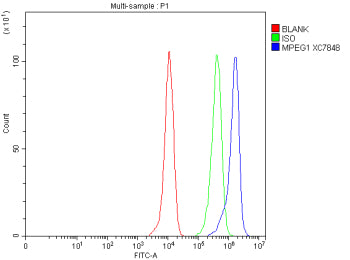 Flow Cytometry analysis of THP-1 cells using anti-MPEG1 antibody. Overlay histogram showing THP-1 cells stained with (Blue line). The cells were fixed with 4% paraformaldehyde and blocked with 10% normal goat serum. And then incubated with rabbit anti-MPEG1 antibody (1 ug/million cells) for 30 min at 20oC. DyLight 488 conjugated goat anti-rabbit IgG (5-10 ug/million cells) was used as secondary antibody for 30 min at 20oC.