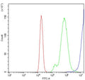 Flow cytometry testing of human Raji cells with CD20 antibody at 1ug/million cells (blocked with goat sera); Red=cells alone, Green=isotype control, Blue= CD20 antibody.