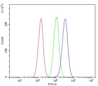 Flow cytometry testing of human A549 cells with ALDH2 antibody at 1ug/million cells (blocked with goat sera); Red=cells alone, Green=isotype control, Blue= ALDH2 antibody.