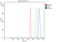 Flow Cytometry analysis of 293T cells using anti-RSPO4 antibody. Overlay histogram showing 293T cells stained with (Blue line). The cells were fixed with 4% paraformaldehyde and blocked with 10% normal goat serum. And then incubated with rabbit anti-RSPO4 antibody (1 ug/million cells) for 30 min at 20oC. DyLight 488 conjugated goat anti-rabbit IgG (5-10 ug/million cells) was used as secondary antibody for 30 min at 20oC.