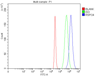 Flow Cytometry analysis of 293T cells using anti-RSPO4 antibody. Overlay histogram showing 293T cells stained with (Blue line). The cells were fixed with 4% paraformaldehyde and blocked with 10% normal goat serum. And then incubated with rabbit anti-RSPO4 antibody (1 ug/million cells) for 30 min at 20oC. DyLight 488 conjugated goat anti-rabbit IgG (5-10 ug/million cells) was used as secondary antibody for 30 min at 20oC.