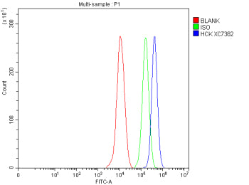 Flow Cytometry analysis of THP-1 cells using anti-HCK antibody. Overlay histogram showing THP-1 cells stained with (Blue line). The cells were fixed with 4% paraformaldehyde and blocked with 10% normal goat serum. And then incubated with rabbit anti-HCK antibody (1 ug/million cells) for 30 min at 20oC. DyLight 488 conjugated goat anti-rabbit IgG (5-10 ug/million cells) was used as secondary antibody for 30 min at 20oC.