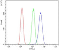 Flow cytometry testing of human A431 cells with ADAM15 antibody at 1ug/million cells (blocked with goat sera); Red=cells alone, Green=isotype control, Blue= ADAM15 antibody.
