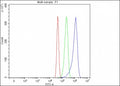 Flow cytometry testing of fixed and permeabilized mouse RAW264.7 cells with Lymphotoxin beta antibody at 1ug/million cells (blocked with goat sera); Red=cells alone, Green=isotype control, Blue= Lymphotoxin beta antibody.