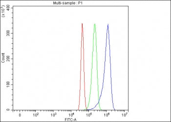 Flow cytometry testing of fixed and permeabilized mouse RAW264.7 cells with Lymphotoxin beta antibody at 1ug/million cells (blocked with goat sera); Red=cells alone, Green=isotype control, Blue= Lymphotoxin beta antibody.