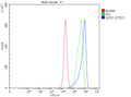 Flow Cytometry analysis of PC-3 cells using anti-SCP2 antibody. Overlay histogram showing PC-3 cells stained with (Blue line). To facilitate intracellular staining, cells were fixed with 4% paraformaldehyde and permeabilized with permeabilization buffer. The cells were blocked with 10% normal goat serum. And then incubated with rabbit anti-SCP2 antibody (1 ug/million cells) for 30 min at 20oC.