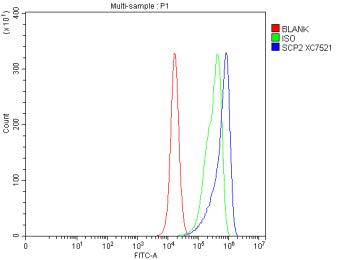 Flow Cytometry analysis of PC-3 cells using anti-SCP2 antibody. Overlay histogram showing PC-3 cells stained with (Blue line). To facilitate intracellular staining, cells were fixed with 4% paraformaldehyde and permeabilized with permeabilization buffer. The cells were blocked with 10% normal goat serum. And then incubated with rabbit anti-SCP2 antibody (1 ug/million cells) for 30 min at 20oC.