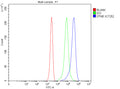 Flow Cytometry analysis of Jurkat cells using anti-DTNB antibody. Overlay histogram showing Jurkat cells stained with (Blue line). The cells were fixed with 4% paraformaldehyde and blocked with 10% normal goat serum. And then incubated with rabbit anti-DTNB antibody (1 ug/million cells) for 30 min at 20oC. DyLight 488 conjugated goat anti-rabbit IgG (5-10 ug/million cells) was used as secondary antibody for 30 minutes at 20oC. Isotype control antibody (Green line) was rabbit IgG (1 ug/million cells) used un