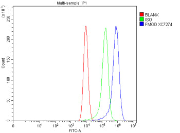 Flow Cytometry analysis of Caco-2 cells using anti-FMOD antibody. Overlay histogram showing Caco-2 cells stained with (Blue line). The cells were fixed with 4% paraformaldehyde and blocked with 10% normal goat serum. And then incubated with rabbit anti-FMOD antibody (1 ug/million cells) for 30 min at 20oC. DyLight 488 conjugated goat anti-rabbit IgG (5-10 ug/million cells) was used as secondary antibody for 30 min at 20oC.