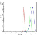 Flow cytometry testing of human U-251 cells with Caspase-8 antibody at 1ug/million cells (blocked with goat sera); Red=cells alone, Green=isotype control, Blue= Caspase-8 antibody.