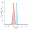 FACS staining of PFA-fixed human HeLa cells with GLIS3 antibody (blue, clone PCRP-GLIS3-1B11) and isotype control (red).