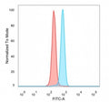 Flow cytometry testing of PFA-fixed human HeLa cells with SKIP antibody (clone PCRP-SNW1-2A1) followed by goat anti-mouse IgG-CF488 (blue), Red = unstained cells.