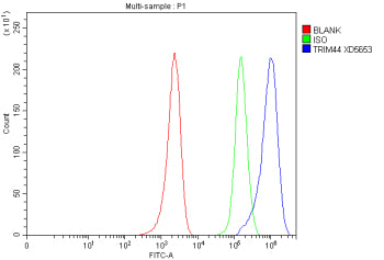 Flow Cytometry analysis of MCF-7 cells using anti-TRIM44 antibody. Overlay histogram showing MCF-7 cells stained with (Blue line). To facilitate intracellular staining, cells were fixed with 4% paraformaldehyde and permeabilized with permeabilization buffer. The cells were blocked with 10% normal goat serum. And then incubated with rabbit anti-TRIM44 antibody (1 ug/million cells) for 30 min at 20oC.