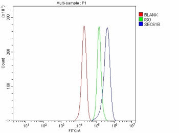 Flow Cytometry analysis of PC-3 cells using anti-SEC61B antibody. Overlay histogram showing PC-3 cells stained with (Blue line). To facilitate intracellular staining, cells were fixed with 4% paraformaldehyde and permeabilized with permeabilization buffer. The cells were blocked with 10% normal goat serum. And then incubated with rabbit anti-SEC61B antibody (1 ug/million cells) for 30 min at 20oC.