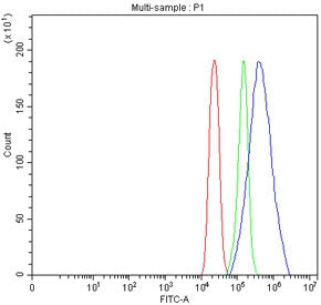Flow cytometry testing of fixed human U-251 cells with ST15 antibody at 1ug/million cells (blocked with goat sera); Red=cells alone, Green=isotype control, Blue= ST15 antibody.