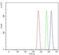 Flow cytometry testing of fixed and permeabilized human U-251 cells with MED17 antibody at 1ug/million cells (blocked with goat sera); Red=cells alone, Green=isotype control, Blue= MED17 antibody.