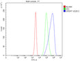 Flow Cytometry analysis of Jurkat cells using anti-CBY2 antibody. Overlay histogram showing Jurkat cells stained with (Blue line). To facilitate intracellular staining, cells were fixed with 4% paraformaldehyde and permeabilized with permeabilization buffer. The cells were blocked with 10% normal goat serum. And then incubated with rabbit anti-CBY2 antibody (1 ug/million cells) for 30 min at 20oC.