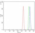 Flow cytometry testing of fixed and permeabilized human A431 cells with Proteasome maturation protein antibody at 1ug/million cells (blocked with goat sera); Red=cells alone, Green=isotype control, Blue= Proteasome maturation protein antibody.