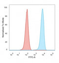 FACS staining of PFA-fixed human HeLa cells with SET antibody (blue, clone PCRP-SET-1C6) and isotype control (red).