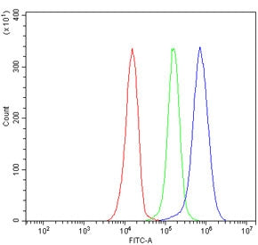 Flow cytometry testing of human JK-1 cells with HS2ST1 antibody at 1ug/million cells (blocked with goat sera); Red=cells alone, Green=isotype control, Blue= HS2ST1 antibody.