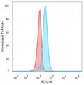FACS staining of PFA-fixed human HeLa cells with FOXB1 antibody (blue, clone PCRP-FOXB1-1B7) and isotype control (red).
