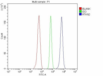 Flow Cytometry analysis of Raji cells using anti-RTKN2 antibody. Overlay histogram showing Raji cells stained with (Blue line). To facilitate intracellular staining, cells were fixed with 4% paraformaldehyde and permeabilized with permeabilization buffer. The cells were blocked with 10% normal goat serum. And then incubated with rabbit anti-RTKN2 antibody (1 ug/million cells) for 30 min at 20oC.
