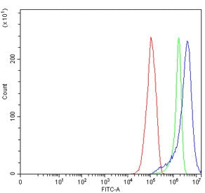 Flow cytometry testing of human RT4 cells with MX1 antibody at 1ug/million cells (blocked with goat sera); Red=cells alone, Green=isotype control, Blue= MX1 antibody.